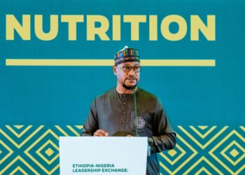 Governor Dauda Lawal Announces Nationwide Nutrition Emergency, National Intervention Fund at Addis Ababa Summit